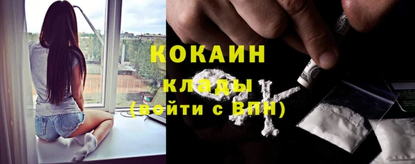 крисы Арсеньев