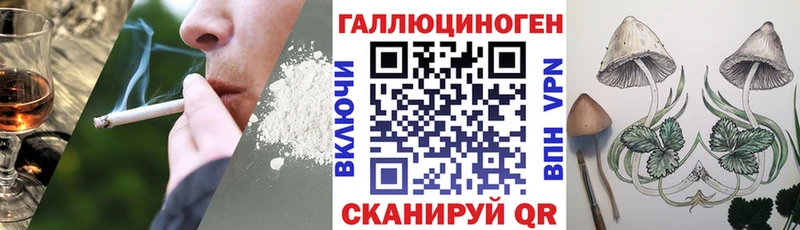 где можно купить наркотик  Ревда  Псилоцибиновые грибы Psilocybine cubensis 